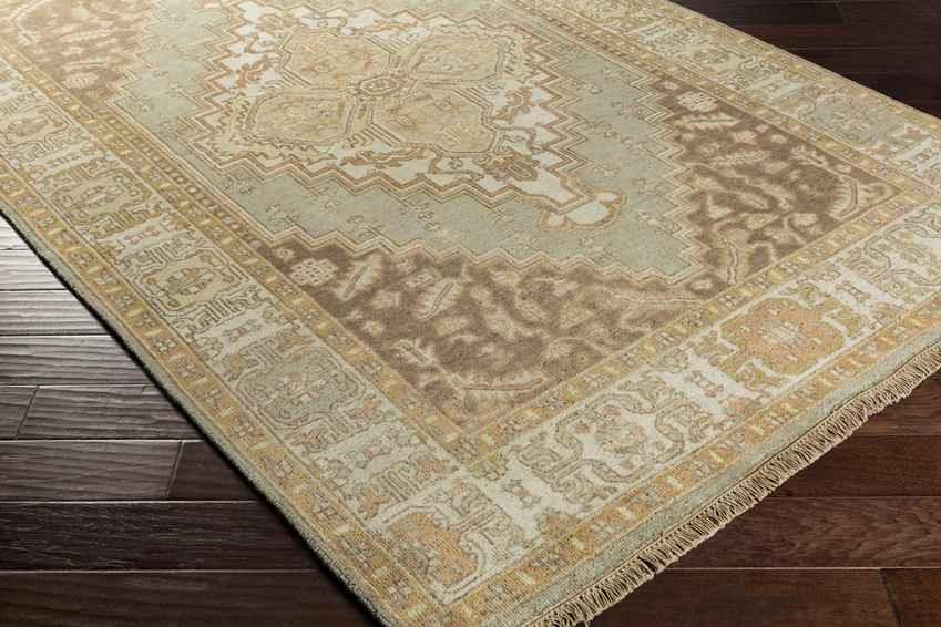 Antony Traditional Peach Area Rug