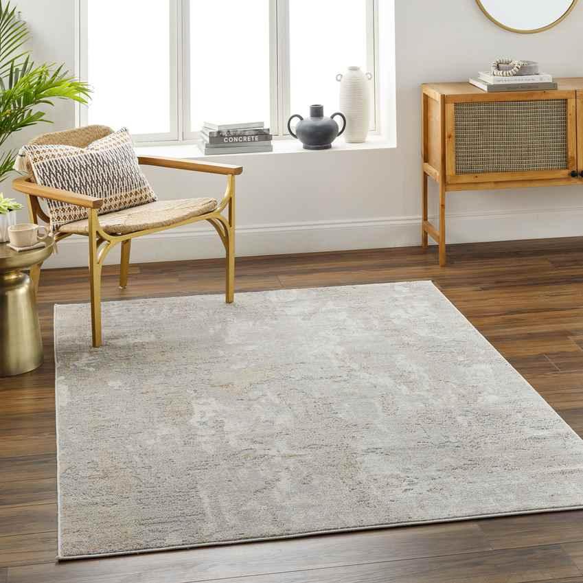 Anup Modern Mocha Area Rug