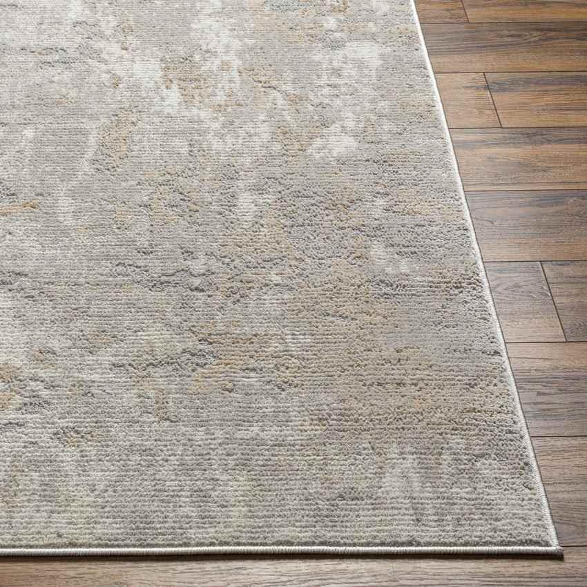 Anup Modern Mocha Area Rug