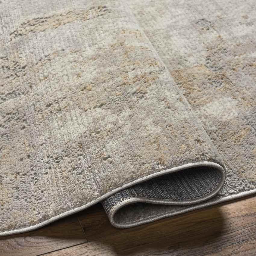 Anup Modern Mocha Area Rug