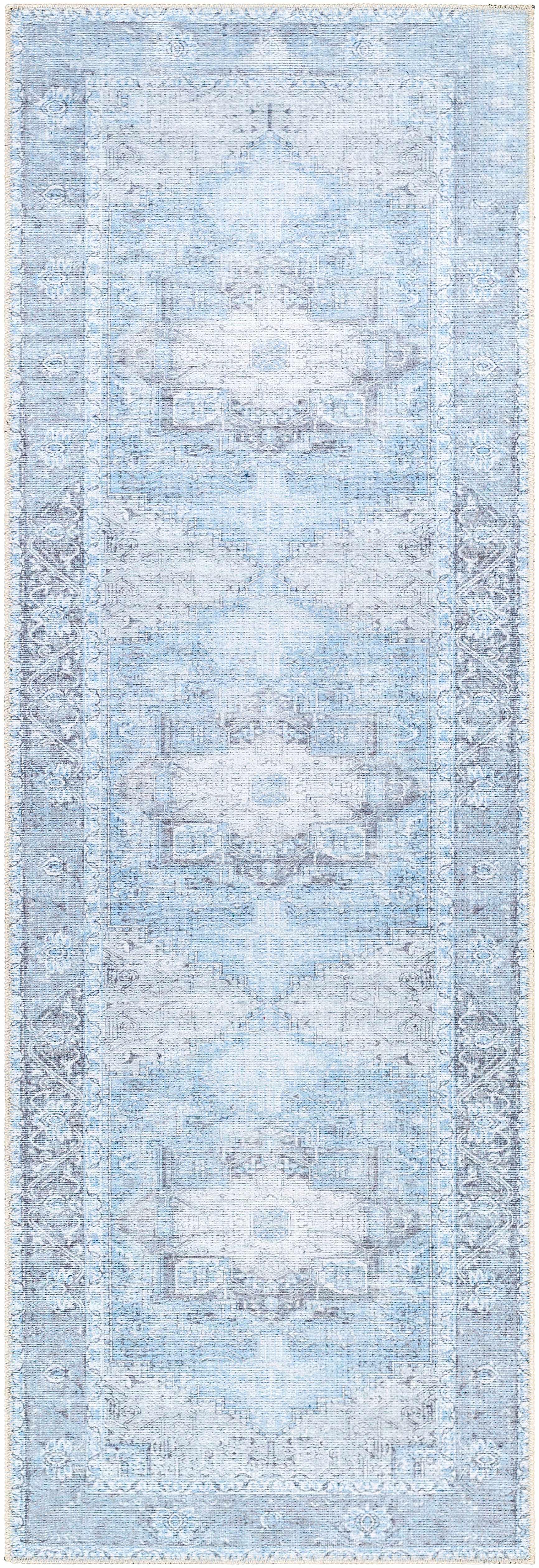 Aqua Rosman Washable Area Rug