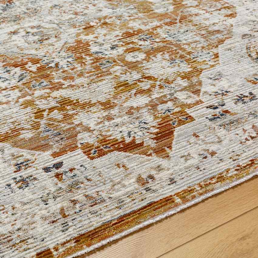 Arek Traditional Saffron/Rust Area Rug