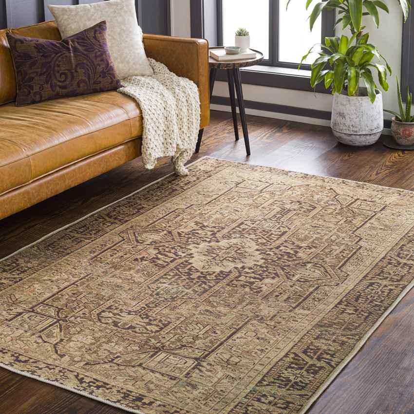 Arma Traditional Caramel Washable Area Rug