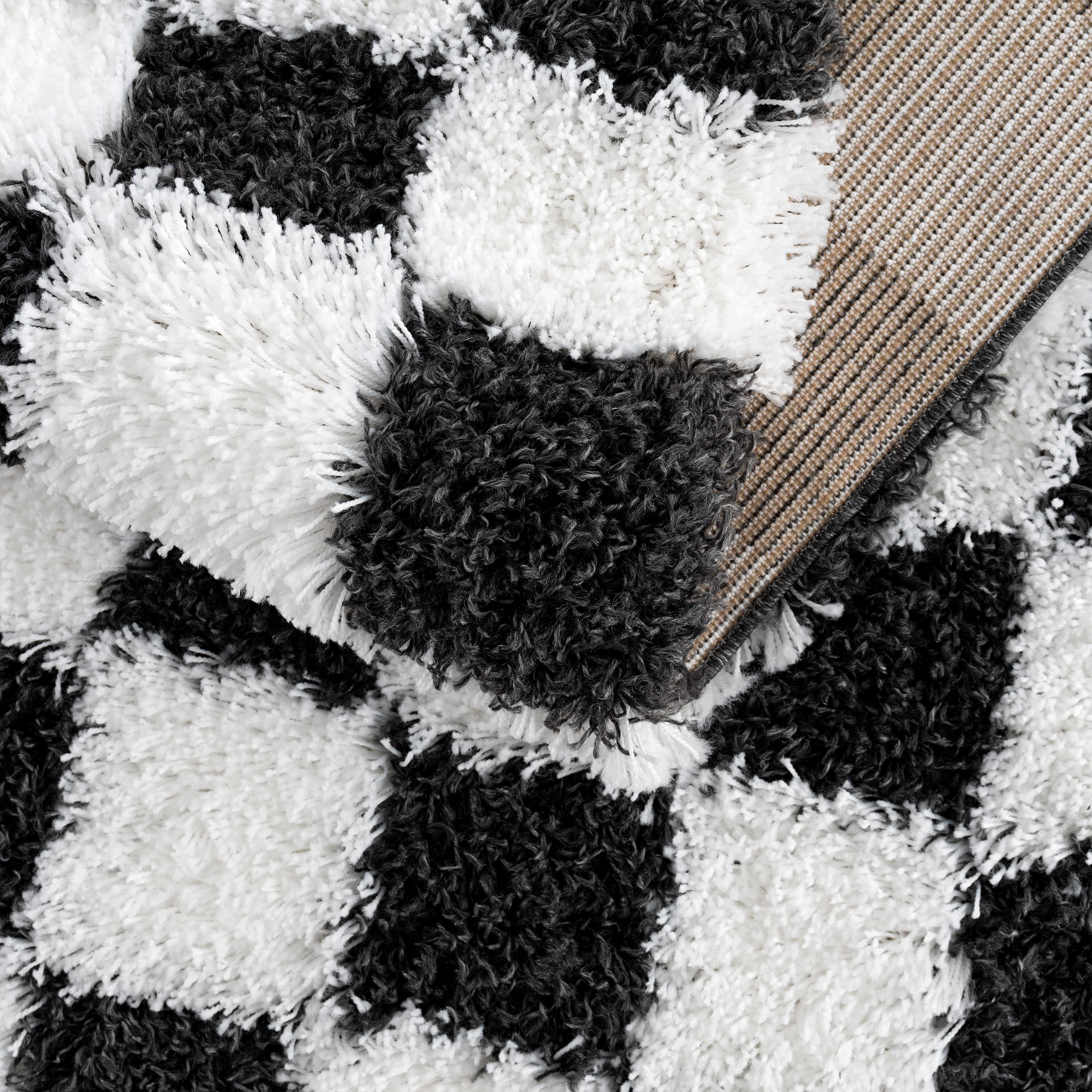 Atira Black & White Checkered Area Rug