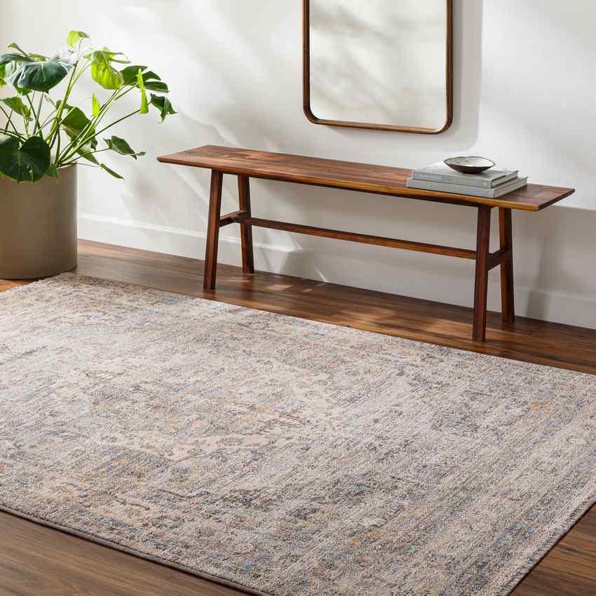 Bellewood Traditional Medium Gray Area Rug