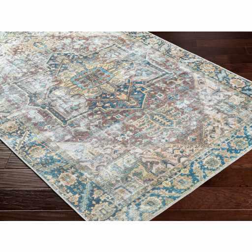 Blue Catigpian Distressed Washable Area Rug