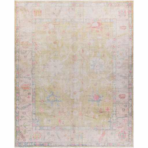 Bozkurt Distressed Washable Rug