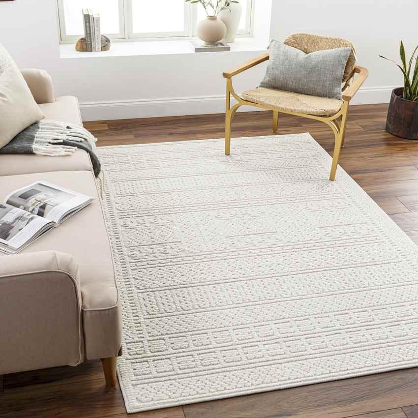 Brunsville Cottage Light Gray Washable Area Rug