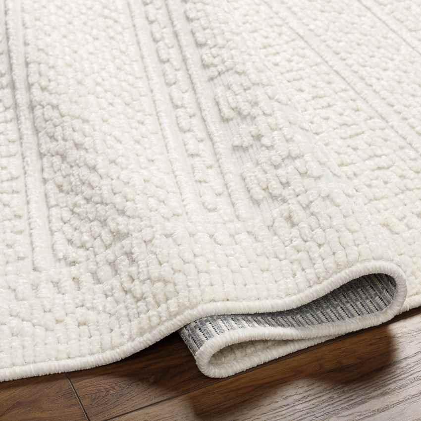 Brunsville Cottage Light Gray Washable Area Rug