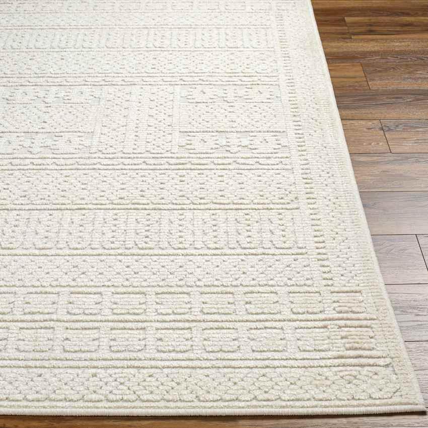 Brunsville Cottage Light Gray Washable Area Rug