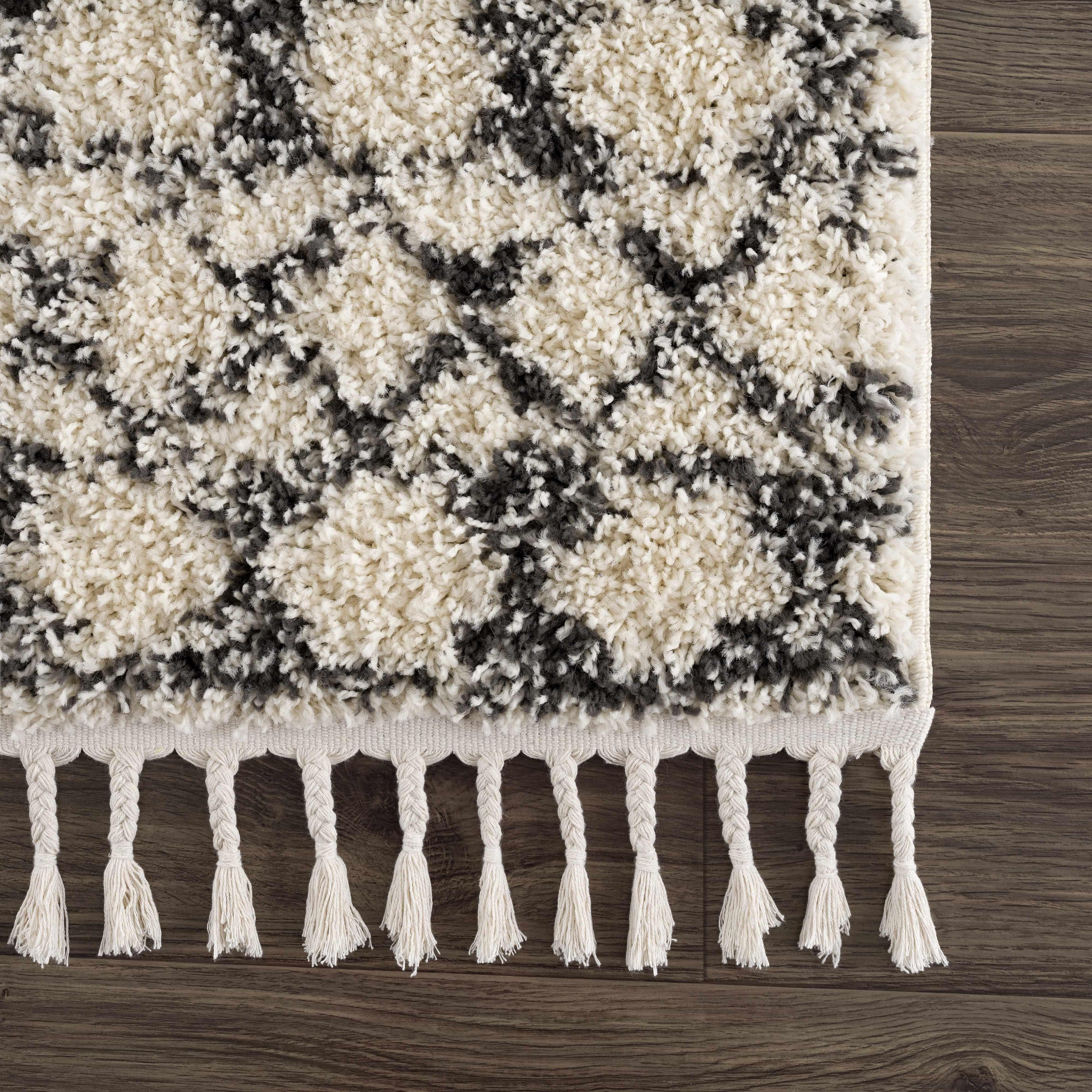 Buan Plush Area Rug