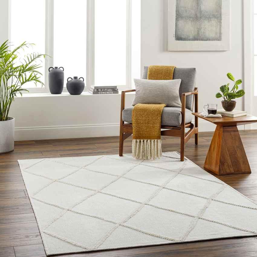 Buck Grove Global Ivory Washable Area Rug