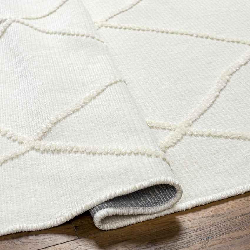 Buck Grove Global Ivory Washable Area Rug