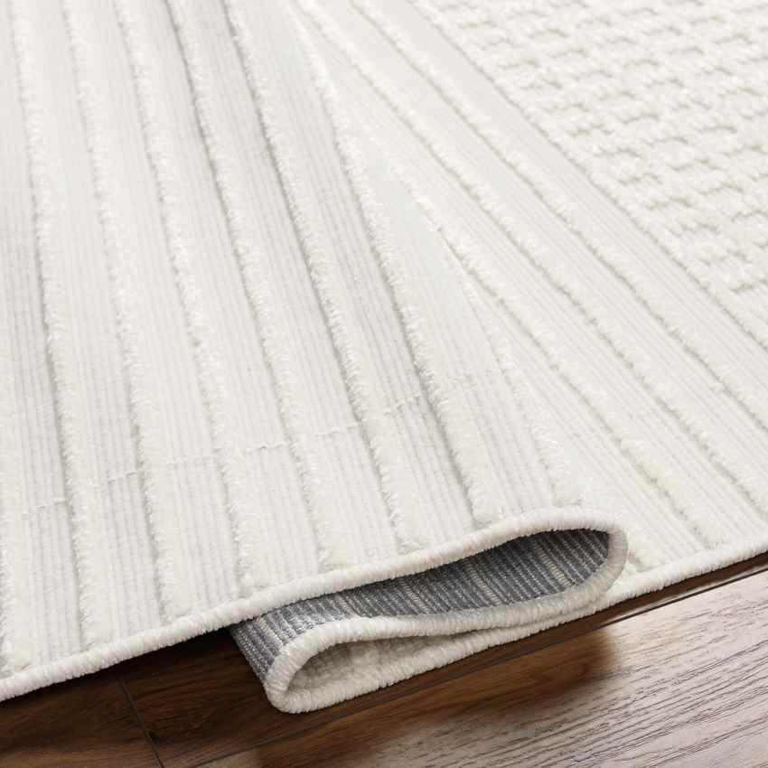 Burkesville Modern Ivory Washable Area Rug