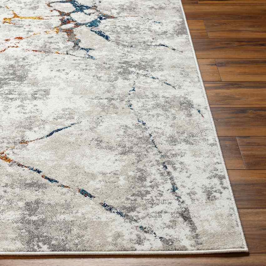 Caraline Modern Light Gray Area Rug