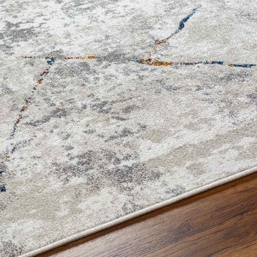 Caraline Modern Light Gray Area Rug