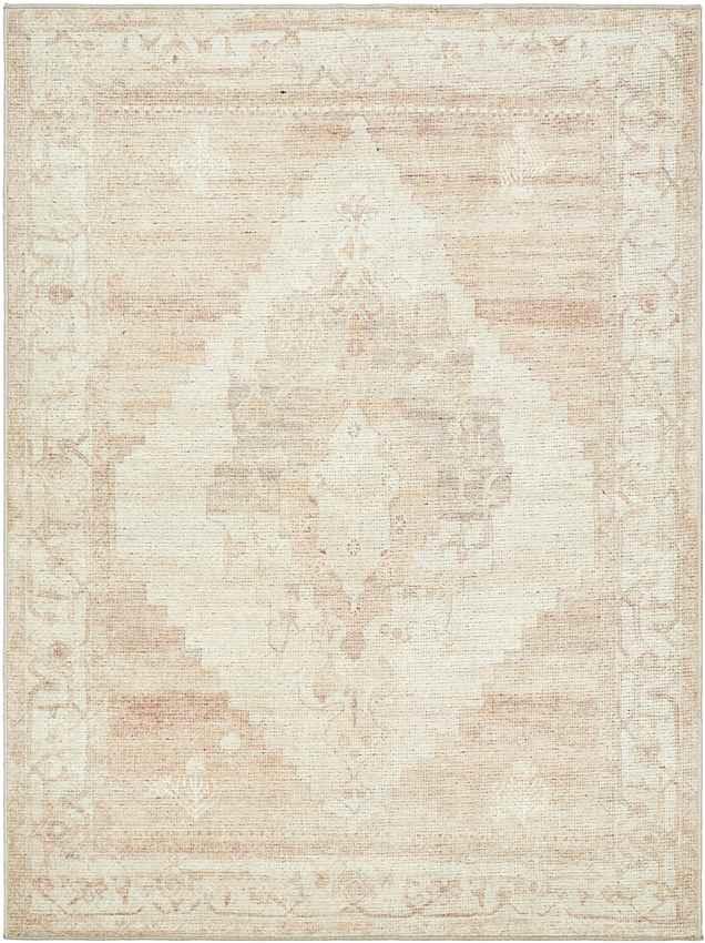 Chong Traditional Blush/Cream Area Rug