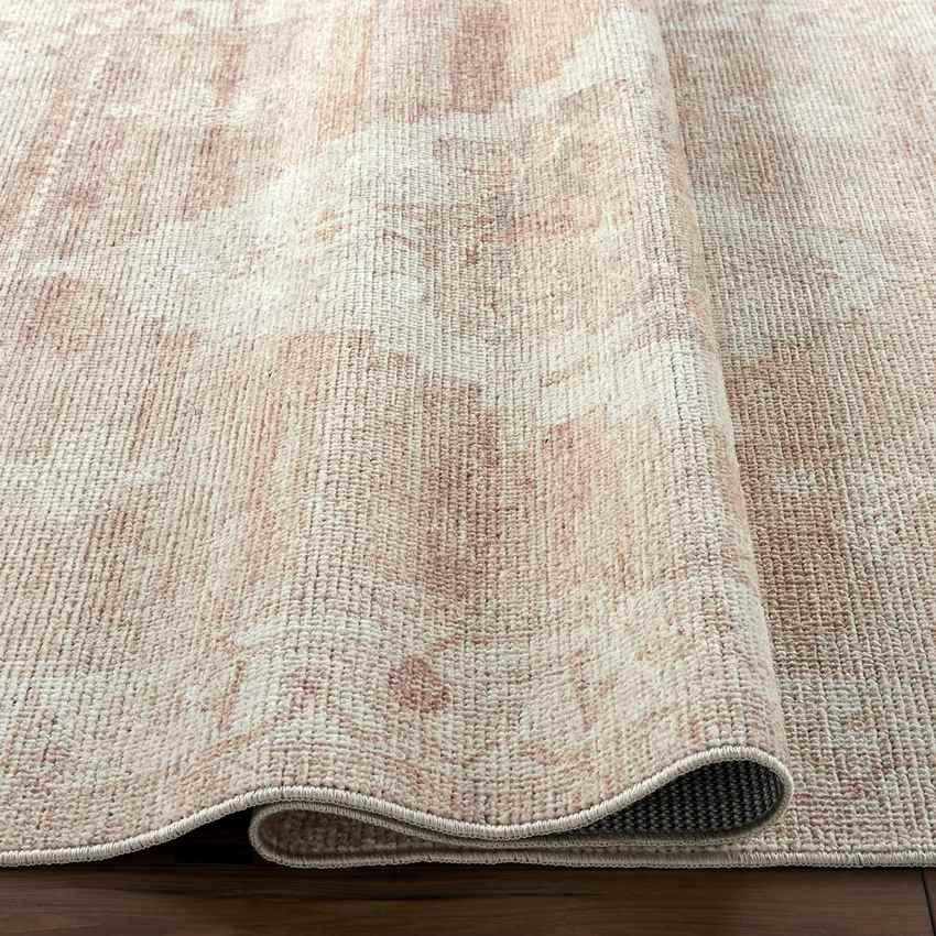 Chong Traditional Blush/Cream Area Rug