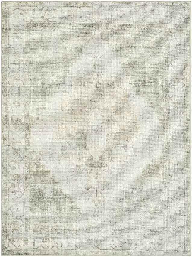 Chong Traditional Sage/Cream Area Rug