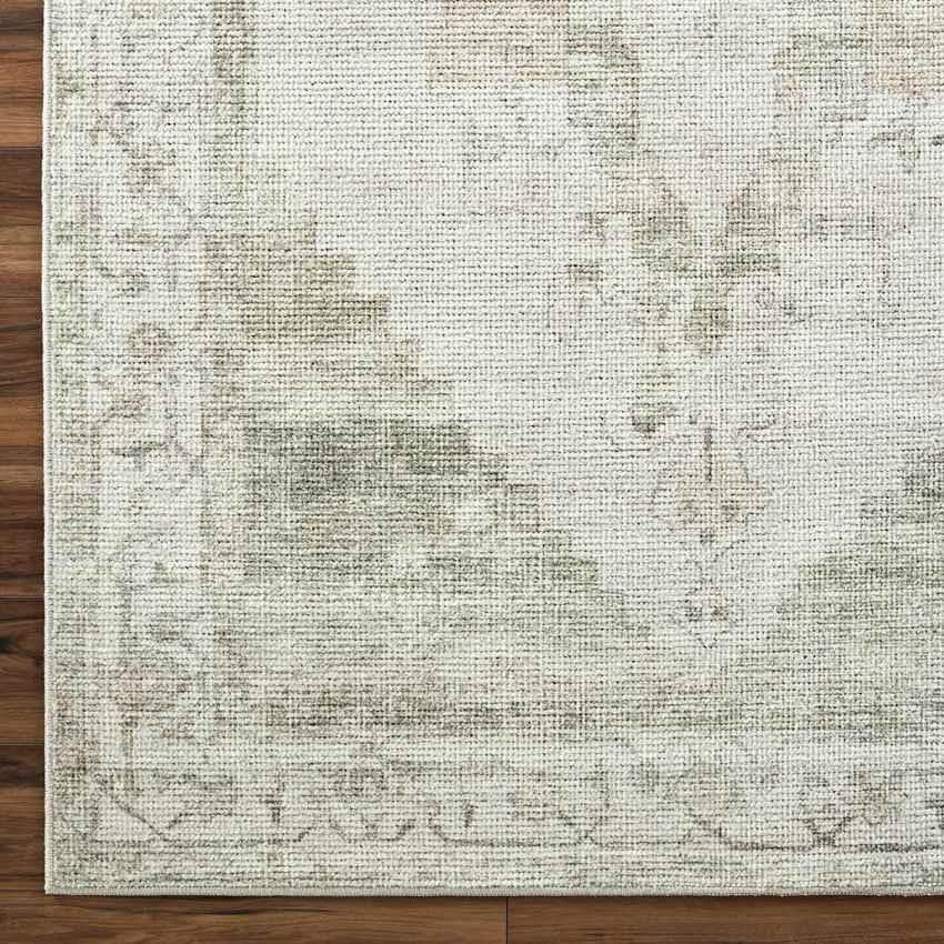 Chong Traditional Sage/Cream Area Rug