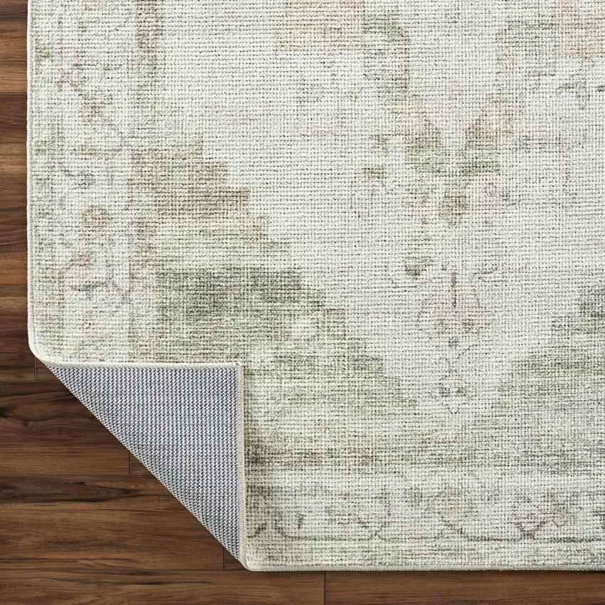 Chong Traditional Sage/Cream Area Rug