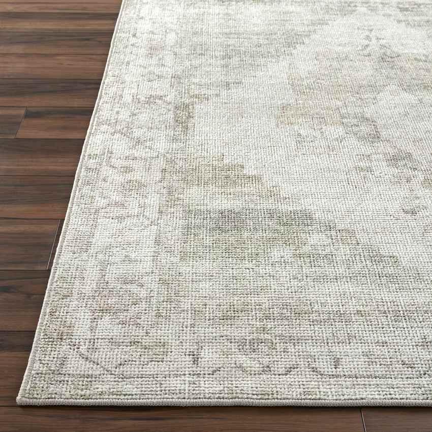 Chong Traditional Sage/Cream Area Rug