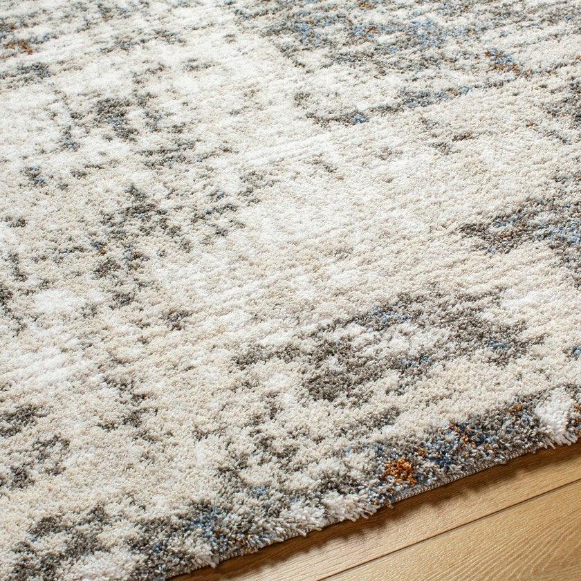 Denee Modern Medium Gray Area Rug