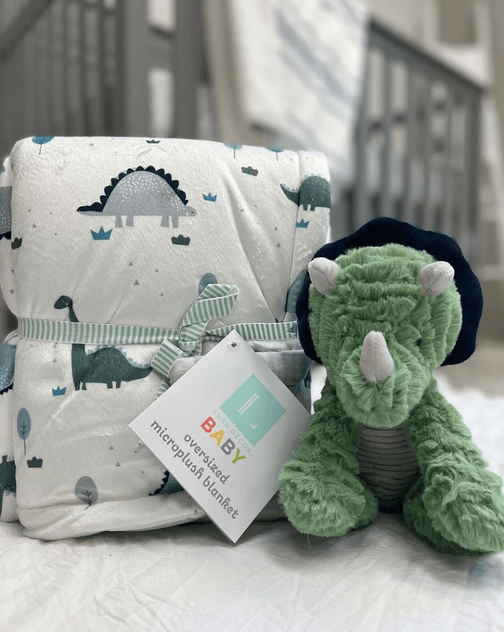 Dinosaurs Roar Soft & Plush Oversized Baby Blanket