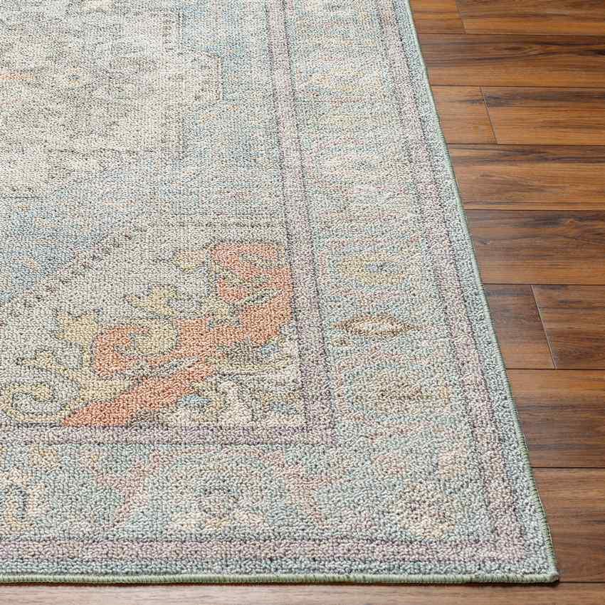 Doria Traditional Light Blue Washable Area Rug