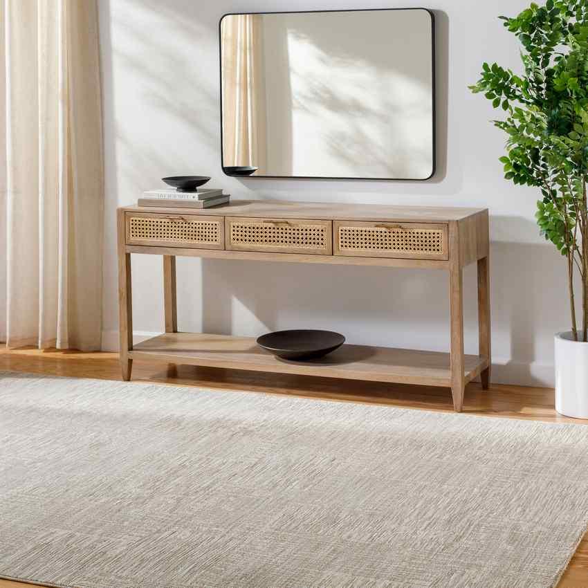 Dragan Modern Taupe Area Rug