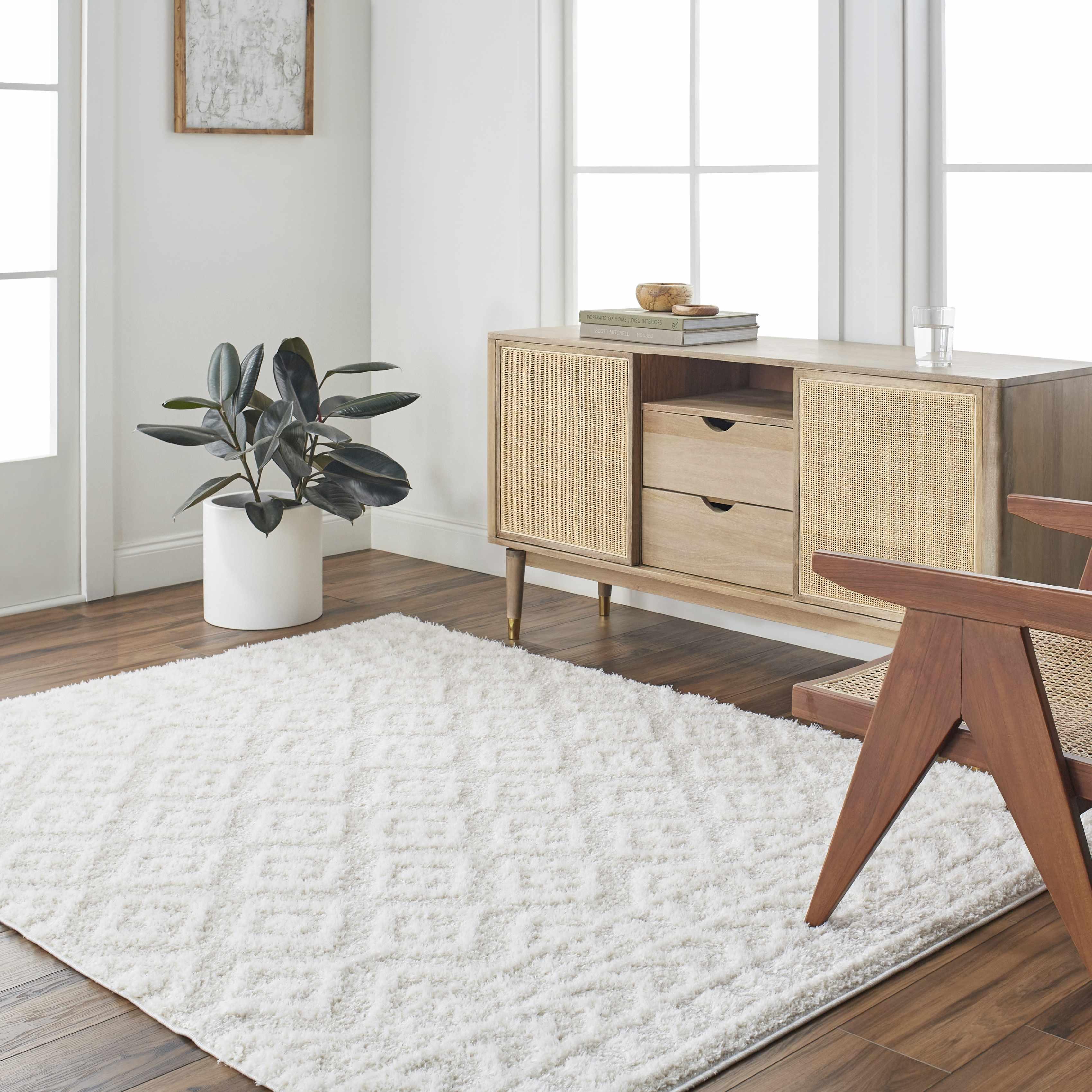 Eivin Cream Area Rug