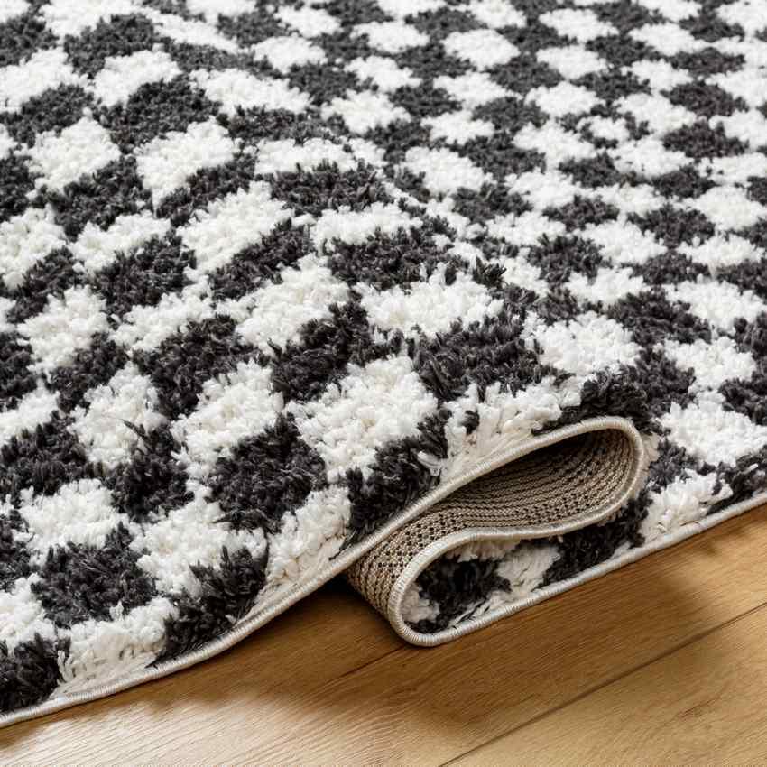 Emmitt Modern Dark Gray Area Rug