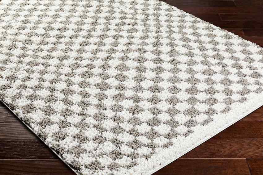 Emmitt Modern Light Gray Area Rug