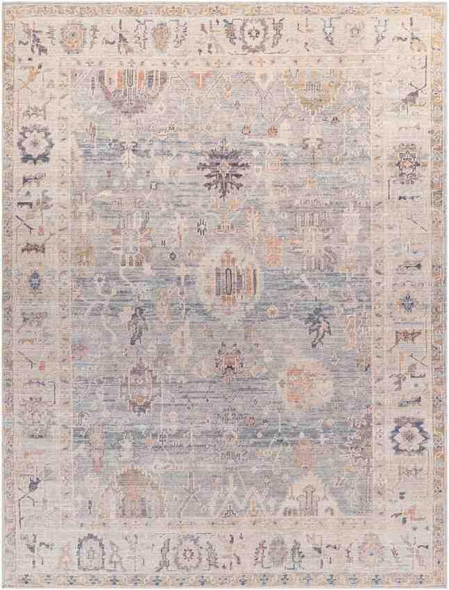 Erasmo Traditional Medium Gray/Pale Blue Area Rug