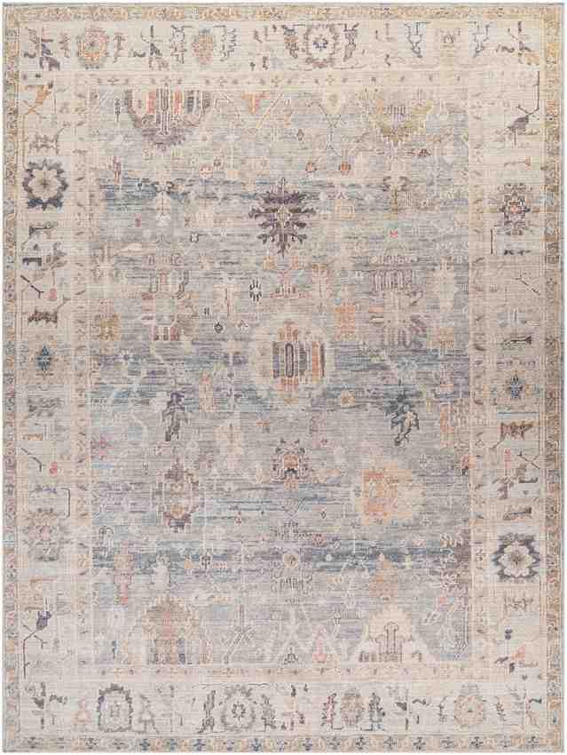 Erasmo Traditional Medium Gray/Pale Blue Area Rug