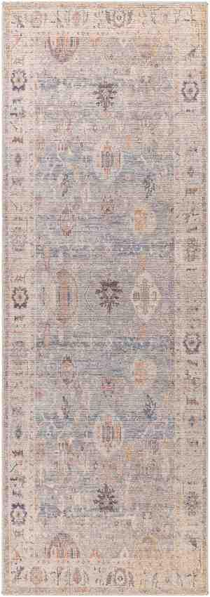 Erasmo Traditional Medium Gray/Pale Blue Area Rug