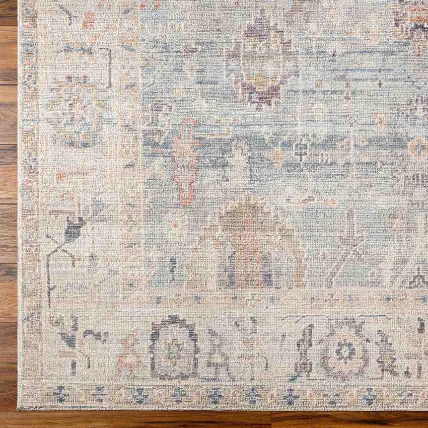 Erasmo Traditional Medium Gray/Pale Blue Area Rug