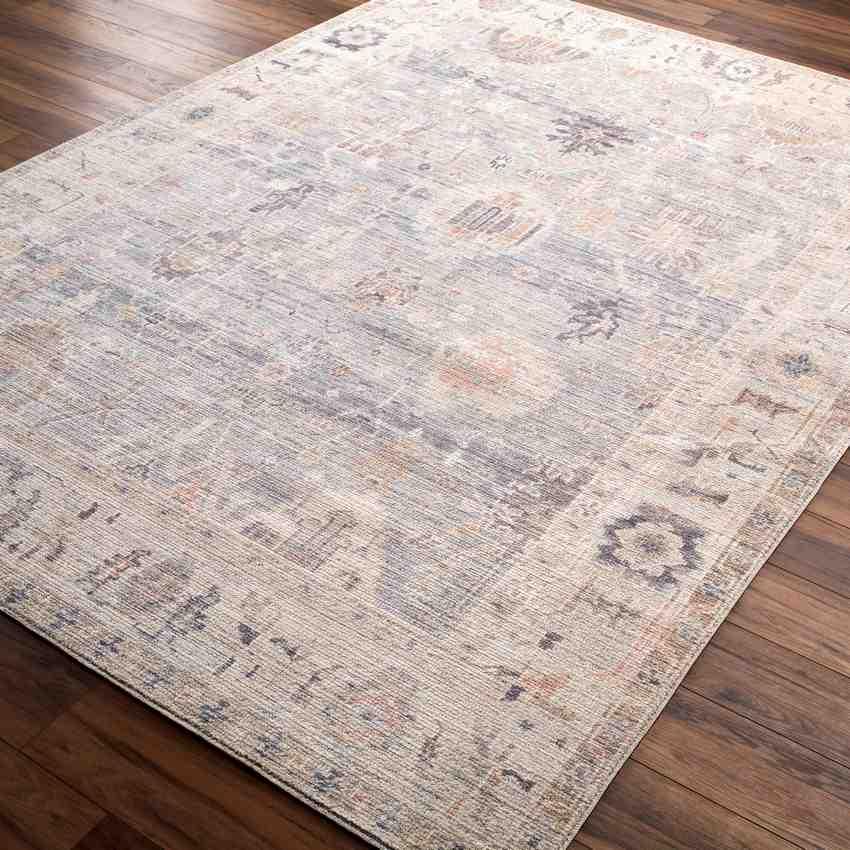 Erasmo Traditional Medium Gray/Pale Blue Area Rug