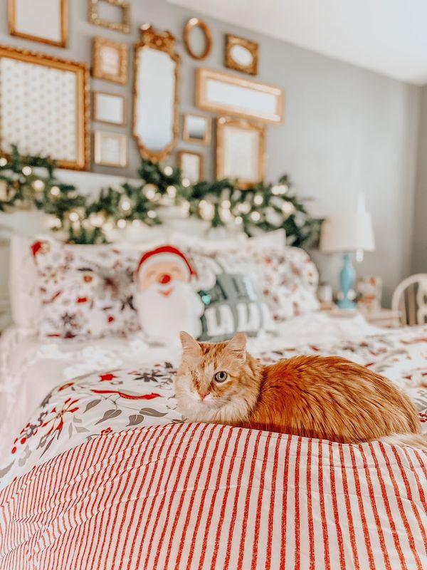 Farmhouse Stripe Throw