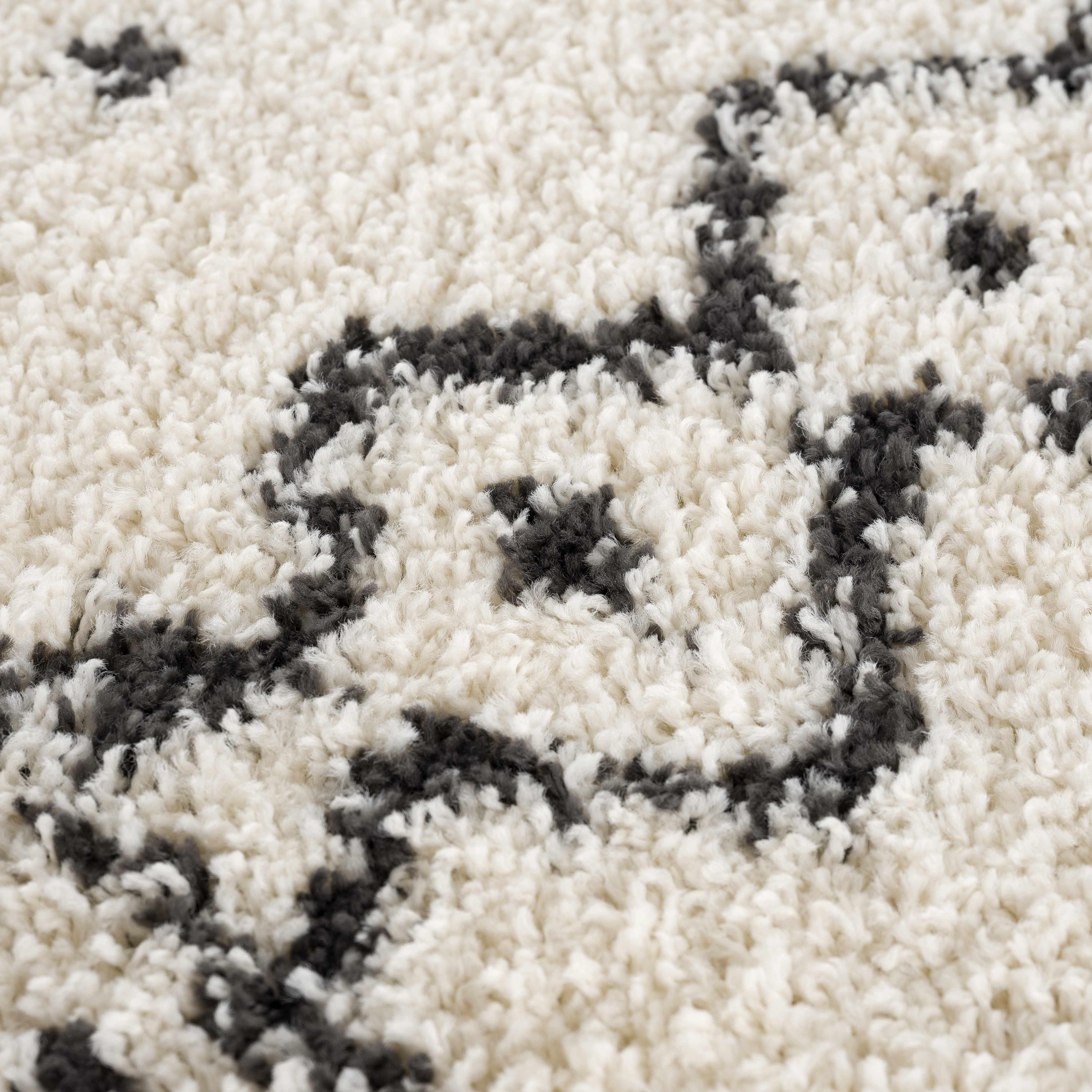 Hauppauge Plush Area Rug