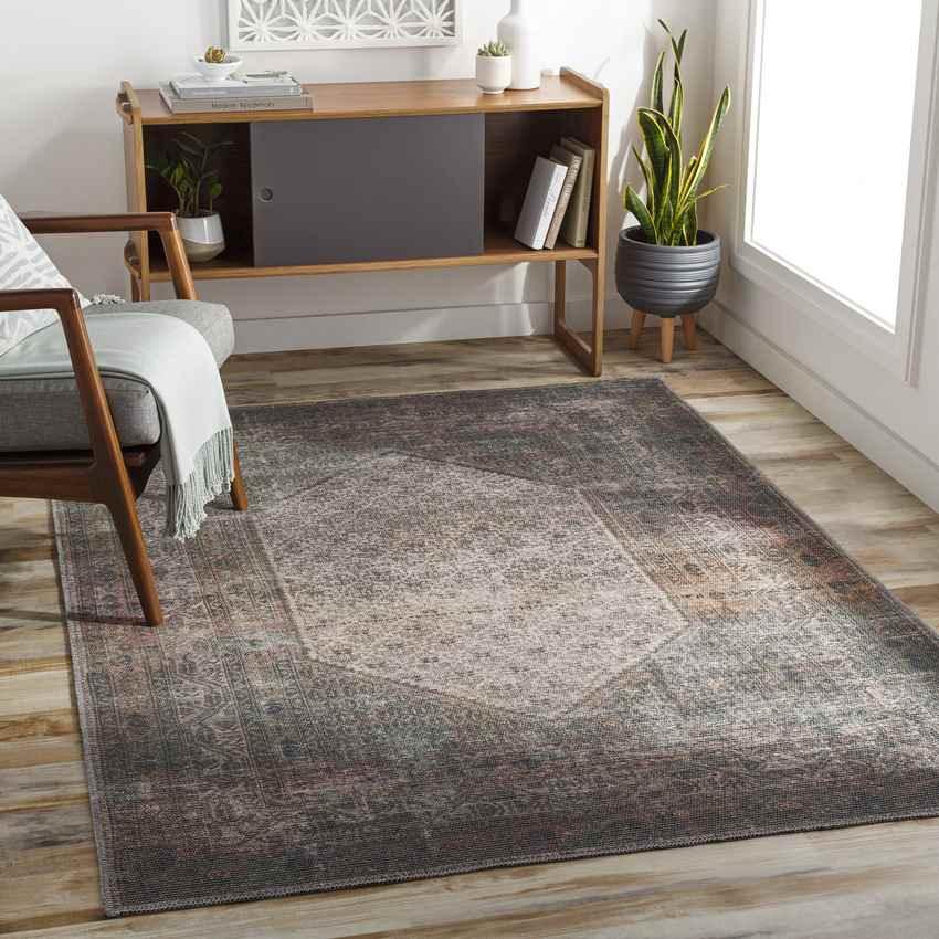 Hayri Traditional Burnt Orange Washable Area Rug