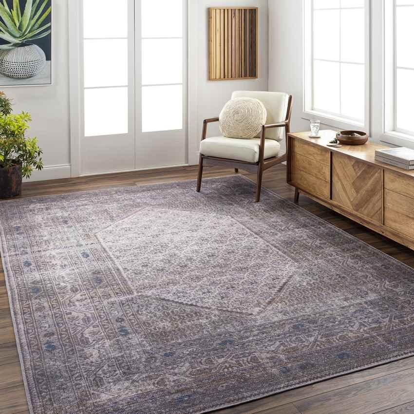 Hayri Traditional Medium Gray Washable Area Rug