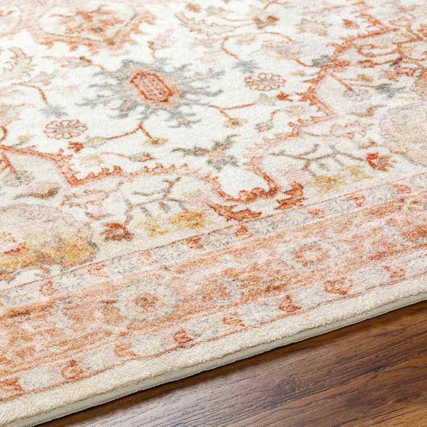 Heiereind Traditional Rust Area Rug