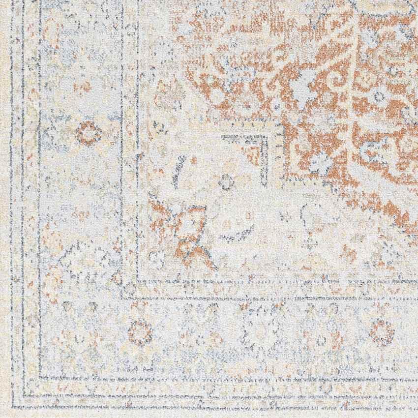 Hollyvilla Traditional Beige Washable Area Rug