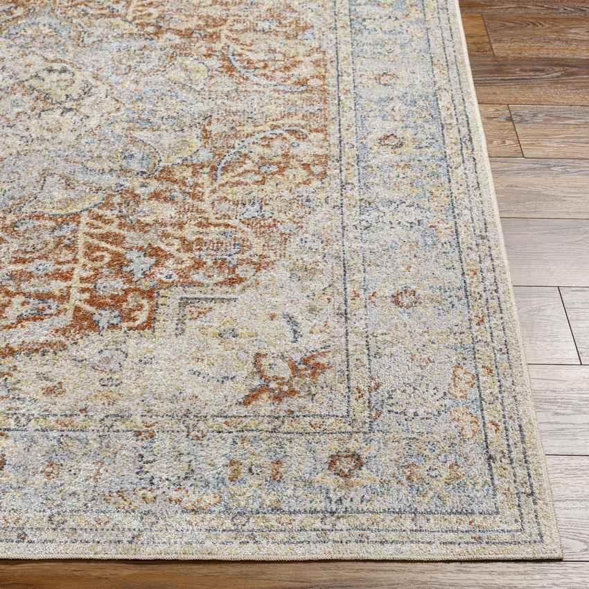 Hollyvilla Traditional Beige Washable Area Rug