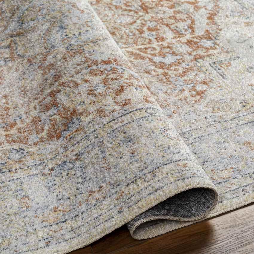 Hollyvilla Traditional Beige Washable Area Rug