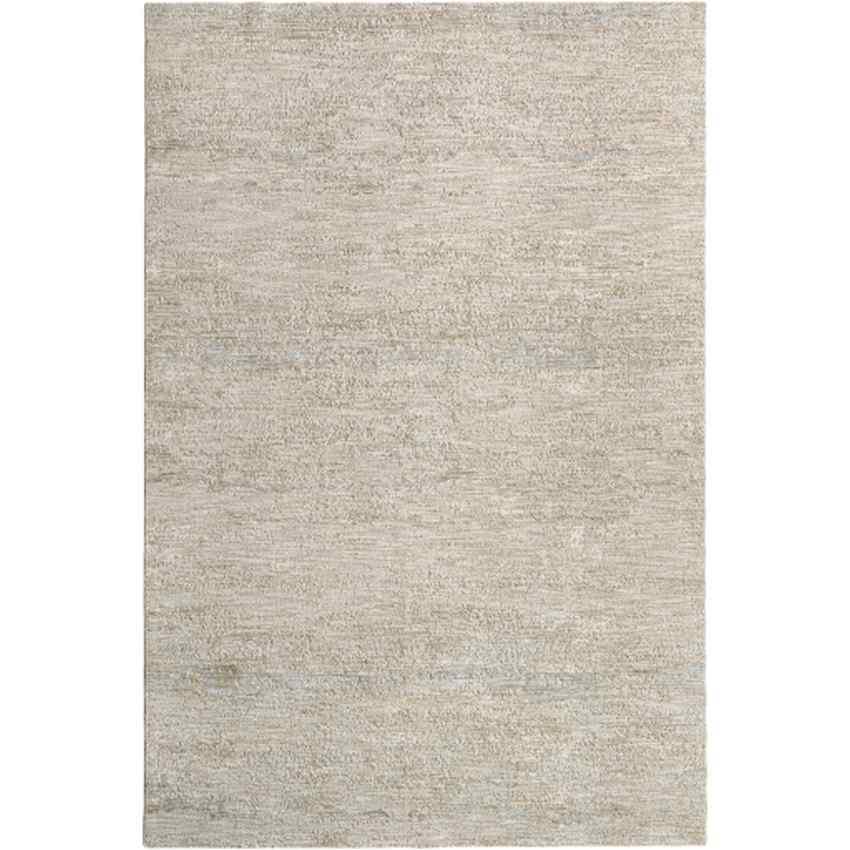 Inocencio Traditional Light Gray Area Rug