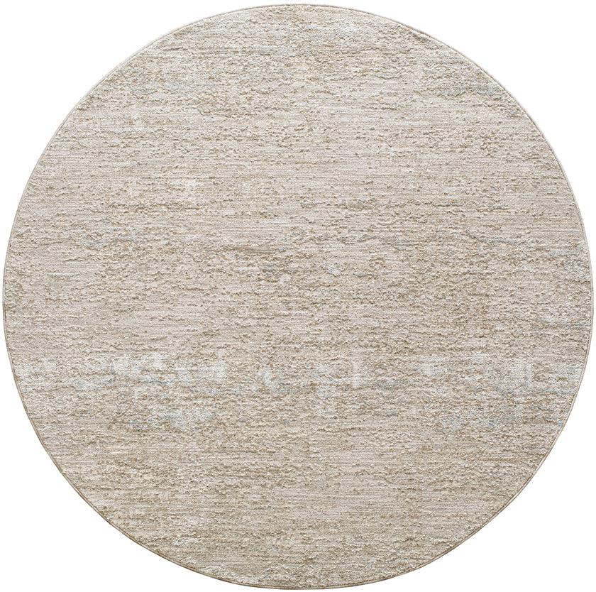 Inocencio Traditional Light Gray Area Rug