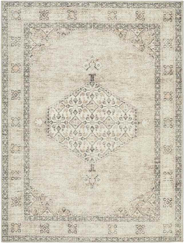 Jamesa Traditional Blush/Beige Area Rug