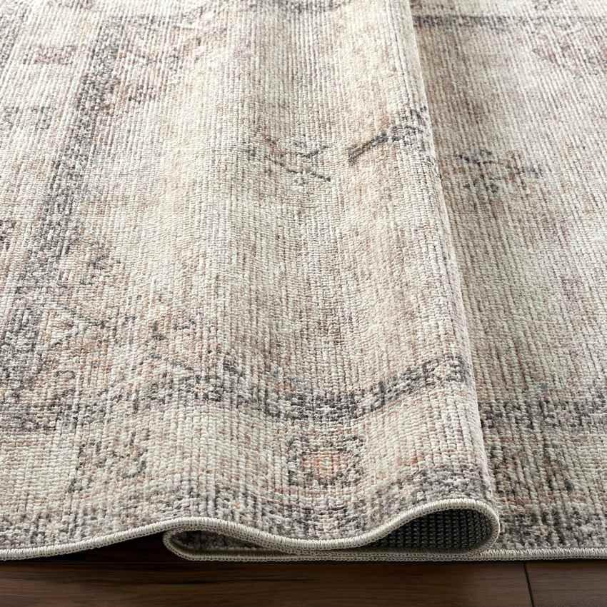 Jamesa Traditional Blush/Beige Area Rug